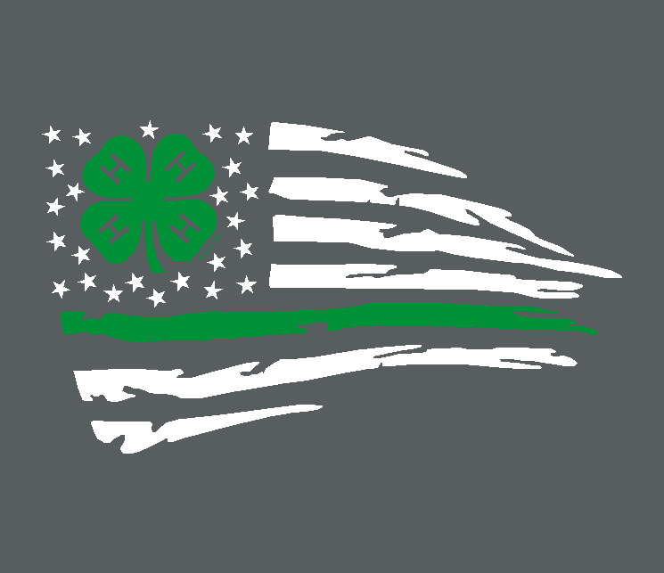 Flag_Logo_8-17-21